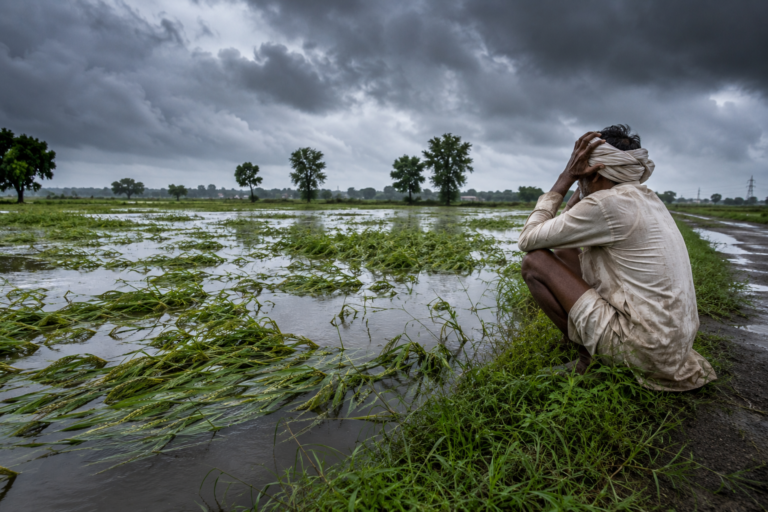 India’s Monsoon Deficit Nears 14% Despite Improved August Rainfall